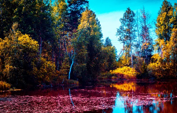 Лето, Первоуральск, Гагарино