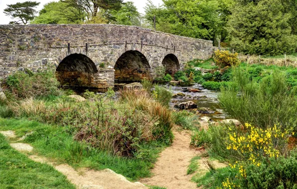 Деревья, мост, камни, Англия, Devon, речка, кусты, Postbridge