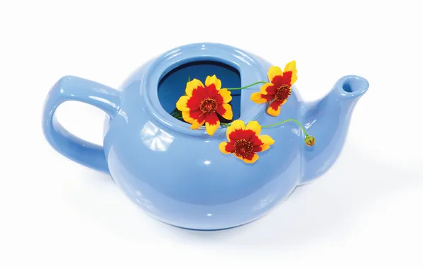 Цветы, голубой, чайник