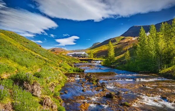 Картинка деревья, горы, река, Исландия, Юрий Левко