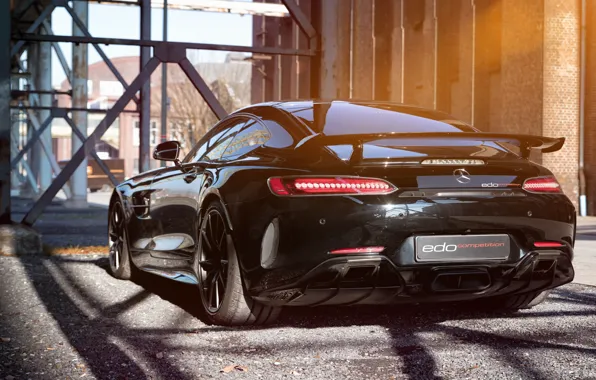 Mercedes-Benz, вид сзади, AMG, 2018, Edo Competition, GT R