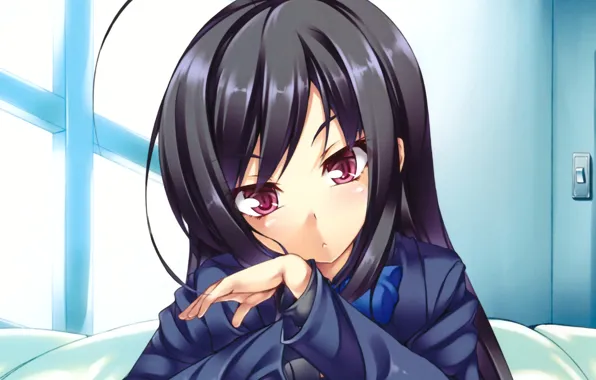 Anime, face, brunette, kuro yuki hime, accel world