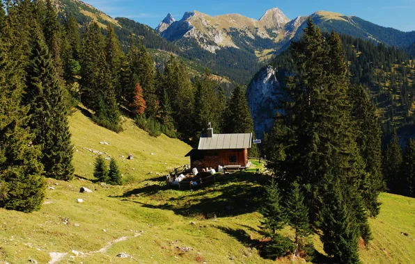 Картинка пейзаж, горы, природа, дом, Германия, Бавария, Hohenschwangau