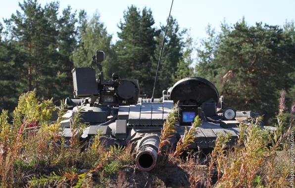 Картинка башня, танк, Россия, Т-80 БВ