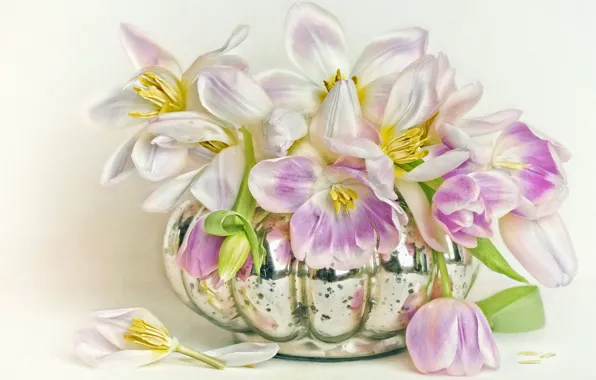 Цветы, фон, букет, лепестки, арт, тюльпаны, ваза, белые