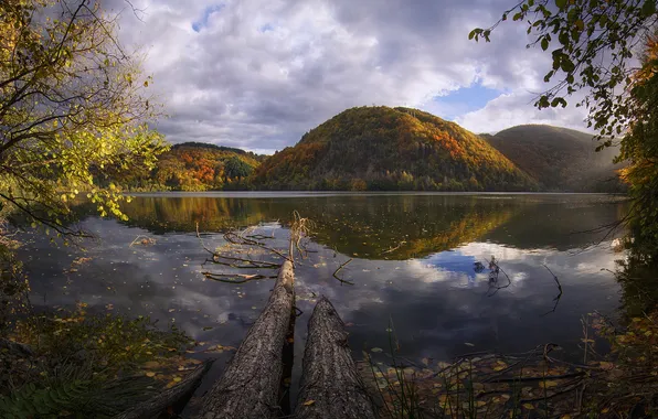 Осень, листья, деревья, горы, озеро, отражение, дерево, ветви