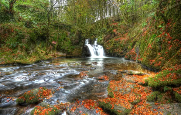 Картинка осень, лес, листья, река, камни, водопад, Ирландия, Ireland