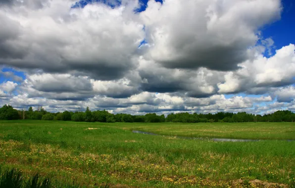 Лес, природа, пейзажи