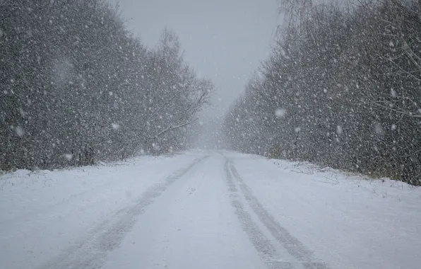 Картинка зима, дорога, лес, снег, природа, минимализм, снегопад