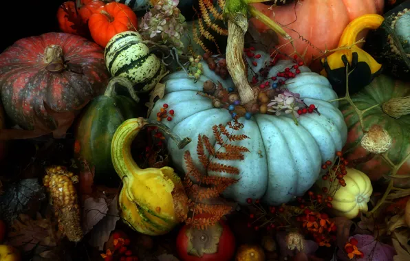 Картинка осень, листья, ягоды, урожай, тыква