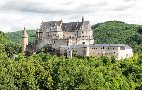 Картинка лес, замок, Люксембург, Vianden, Luxembourg, Diekirch, Вианден, Vianden Castle
