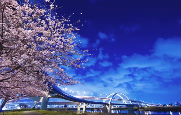 Картинка мост, река, дерево, япония, фонари
