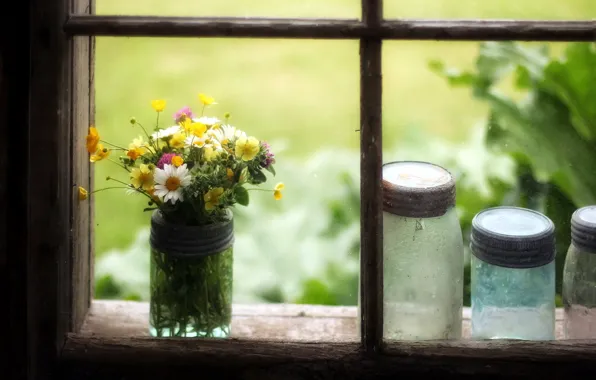 Картинка цветы, окно, банки