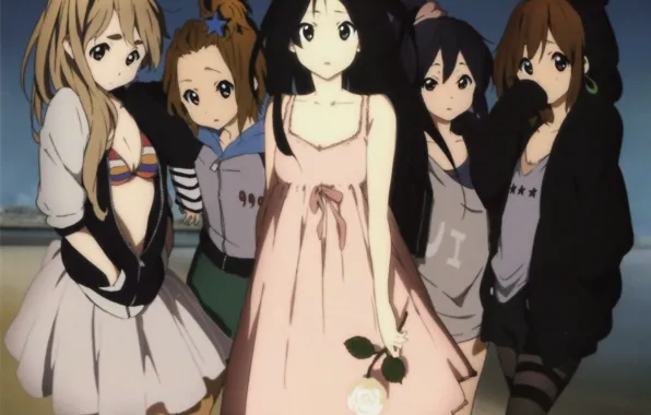 Роза, школьницы, друзья, K-on, Mio Akiyama, Azusa Nakano, Tsumugi Kotobuki, Yui Hirasawa