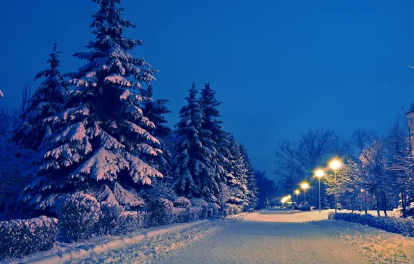 Зима, дорога, снег, пейзаж, парк, вечер, ели, фонари