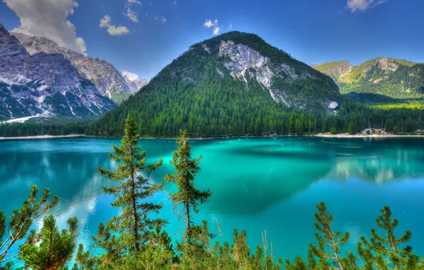 Деревья, горы, озеро, Италия, Italy, Доломитовые Альпы, Dolomites, Trentino