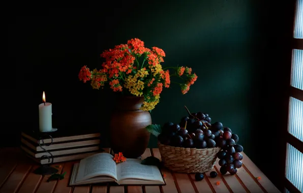 Книги, свеча, букет, виноград, натюрморт, A guiding light