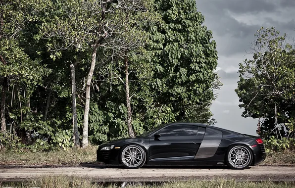 Дорога, листва, audi r8