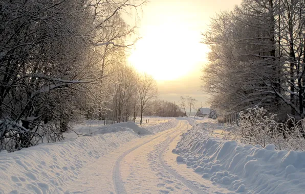 Зима, дорога, снег, деревья, природа, дерево, пейзажи, дороги