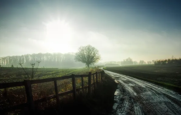 Дорога, туман, утро