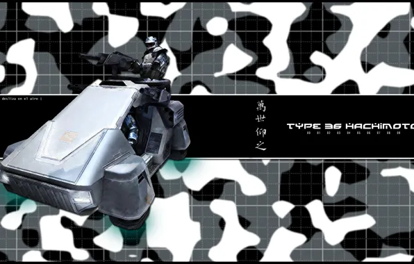 Battlefield, 2142, Hachimoto