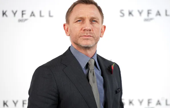 Портрет, костюм, белый фон, актёр, Daniel Craig, Дэниэл Крэйг, Skyfall