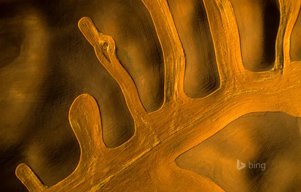 Картинка поля, Вашингтон, США, вид из космоса, Palouse