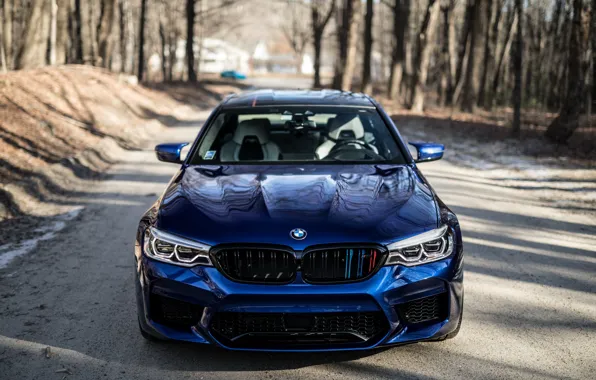 BMW, Blue, Forest, Sight, F90, Adaptive LED
