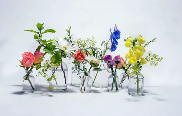 Картинка бутылка, букет, натюрморт