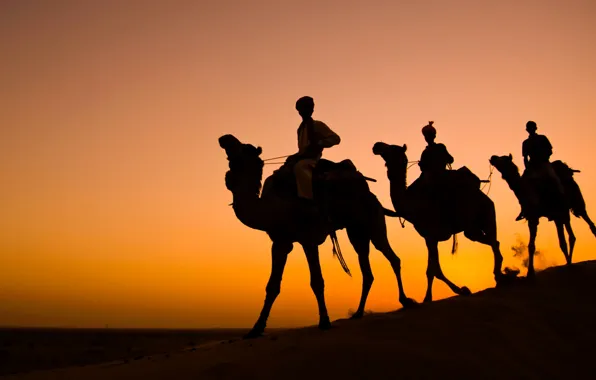 Картинка Индия, силуэт, верблюд, караван, Раджастхан, пустыня Тар