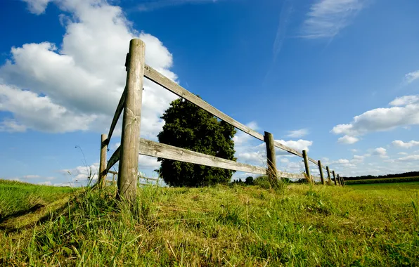 Картинка поле, небо, трава, обои, пейзажи, забор, луг