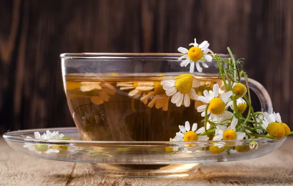 Картинка чай, ромашка, цветки