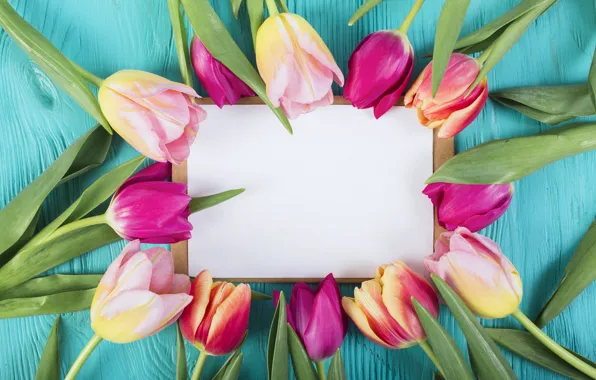 Цветы, colorful, тюльпаны, розовые, pink, flowers, tulips, spring
