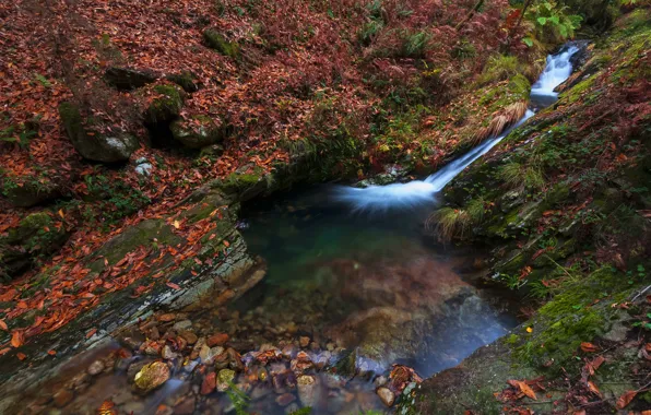 Осень, ручей, камни, берег, течение, листва, водопад, склон