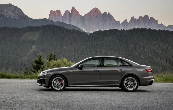 Audi, седан, в профиль, Audi A4, 2019