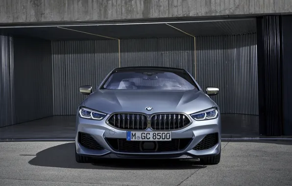BMW, вид спереди, Gran Coupe, 8-Series, 2019, M850i, XDrive, G16