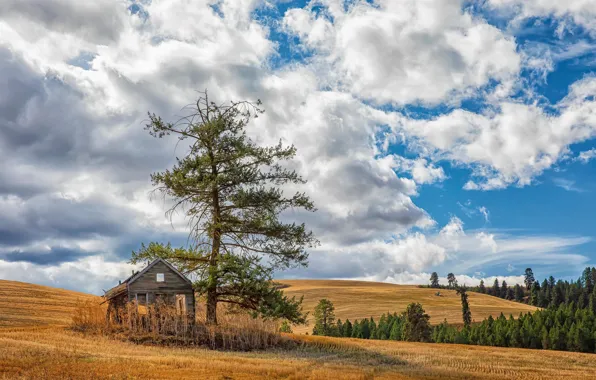 Картинка United States, Idaho, Culdesac