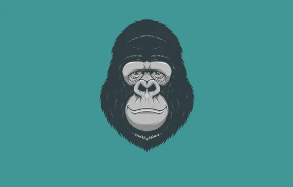 Картинка минимализм, голова, обезьяна, горилла, monkey, gorilla