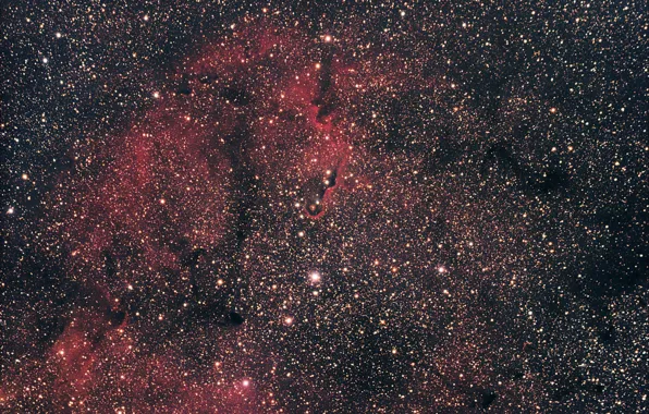 Картинка космос, звезды, nebula, Elephant's Trunk, IC 1396