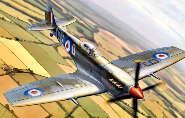 Картинка Великобритания, Royal Air Force, Spitfire Mk.XVI, истребитель - бомбардировщик, Packard Merlin 266, с каплевидным фонарём, …