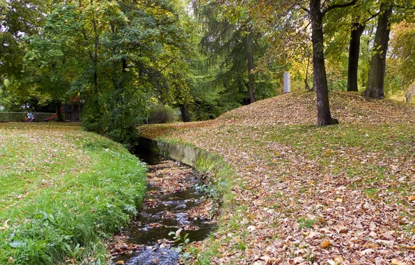 Картинка осень, вода, парк, листва, листопад, water, park, Autumn