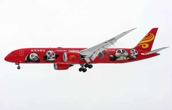 Пассажирский самолет, Red Panda, 787-9 B-6998, Hainan