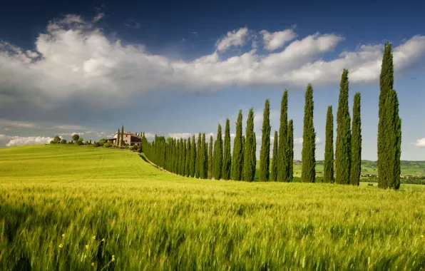 Картинка поле, небо, деревья, дом, весна, Италия, Кампанья