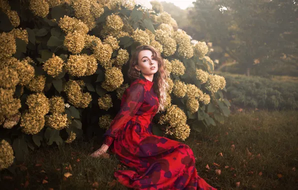 Цветы, платье, губки, Aleah Michele, Where the flowers grow, Lady laurelle