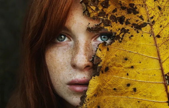 Картинка осень, листья, веснушки, губки, Autumnus et folium, Лилия Беда