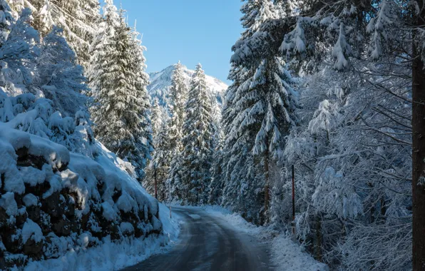 Картинка зима, дорога, лес, горы