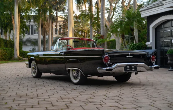 Ford, Форд, 1957, ретро автомобили, Thunderbird, retro cars, Ford Thunderbird E-Code, E-Code