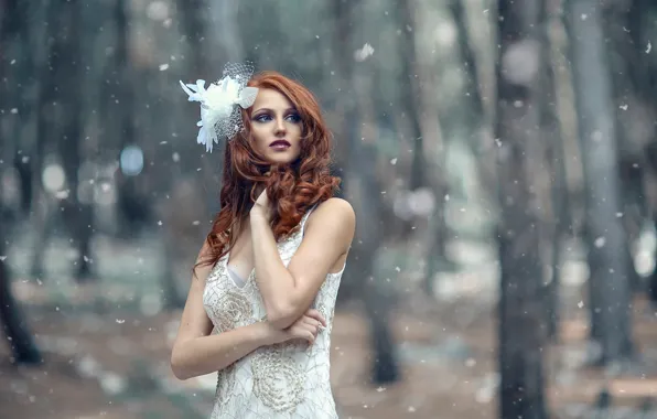 Девушка, снег, Alessandro Di Cicco, Frosty Winter