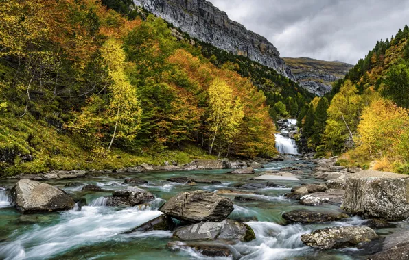 Осень, лес, горы, река, камни, скалы, берег, течение