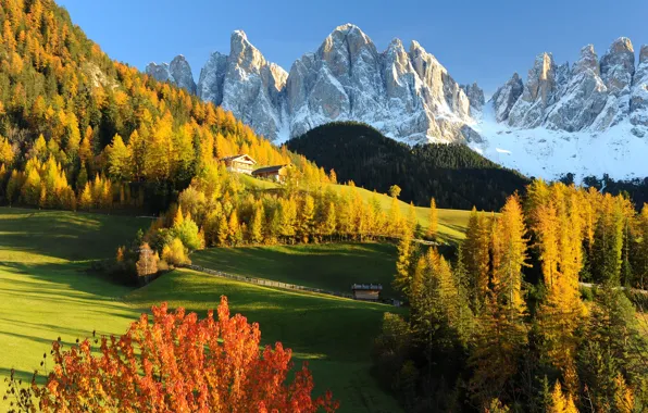 Картинка Природа, Горы, Осень, Лес, Альпы, Луг, Италия, Пейзаж